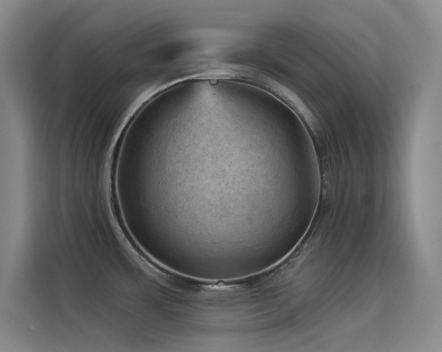 X0000114531483200910191312
