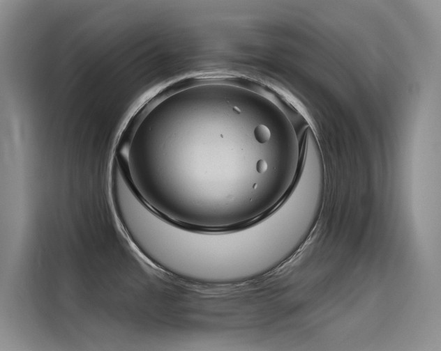 X0000114531485200910191312