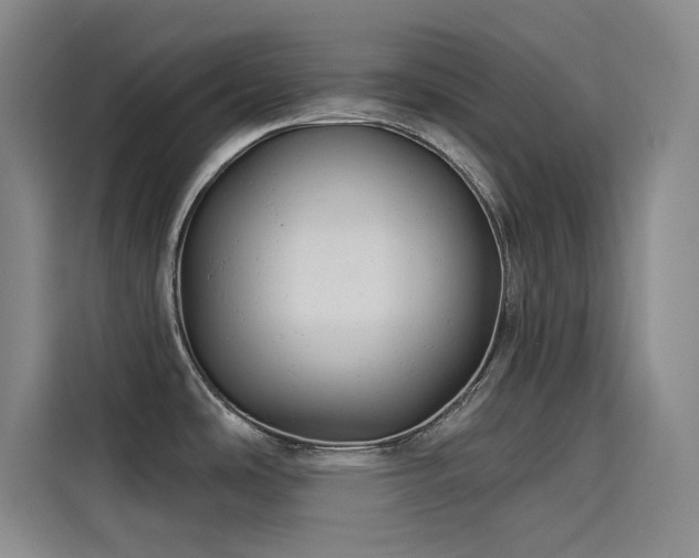 X0000114531486200910191312