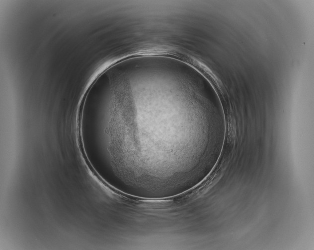 X0000114531487200910191312