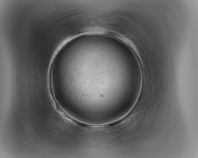 X0000114531488200910191312