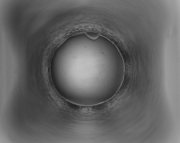 X0000114531489200910191311