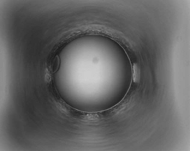 X0000114531491200910191311