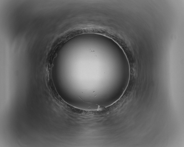X0000114531493200910191311