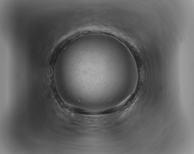 X0000114531494200910191311