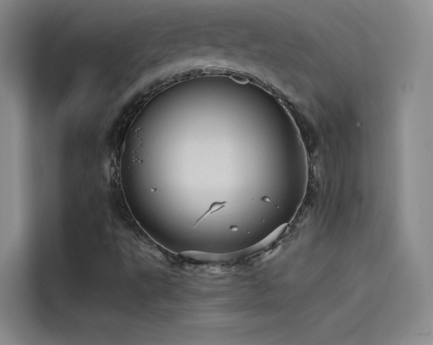 X0000114531495200910191311