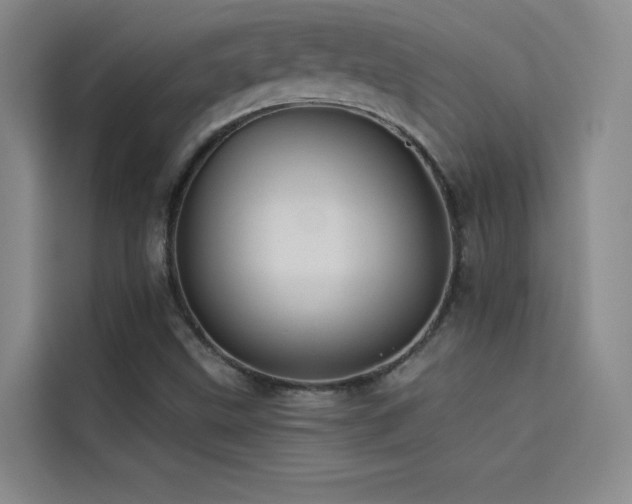 X0000114531499200910191311