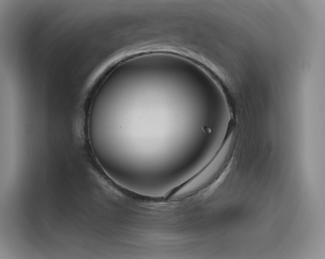 X0000114531502200910191311