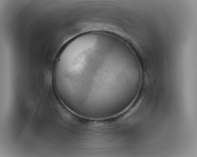 X0000114531505200910191311