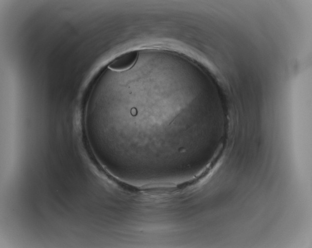 X0000114531506200910191311