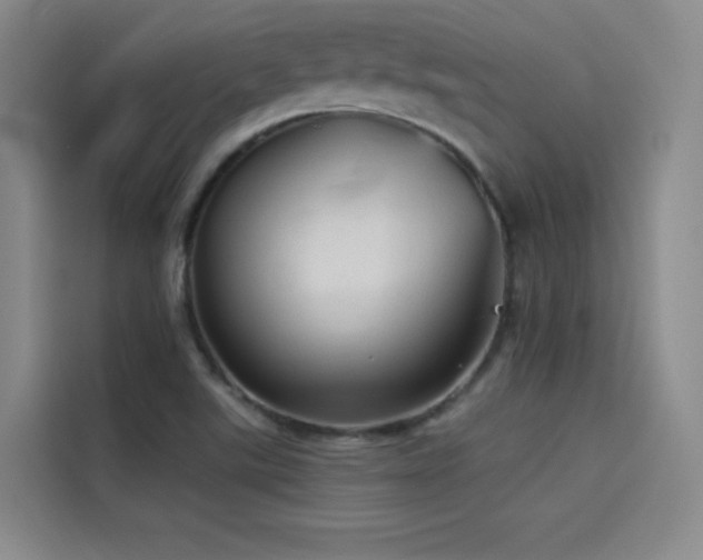 X0000114531507200910191311