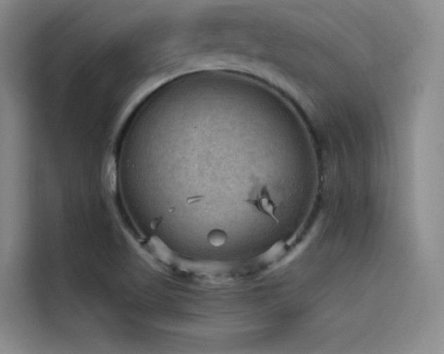 X0000114531509200910191311