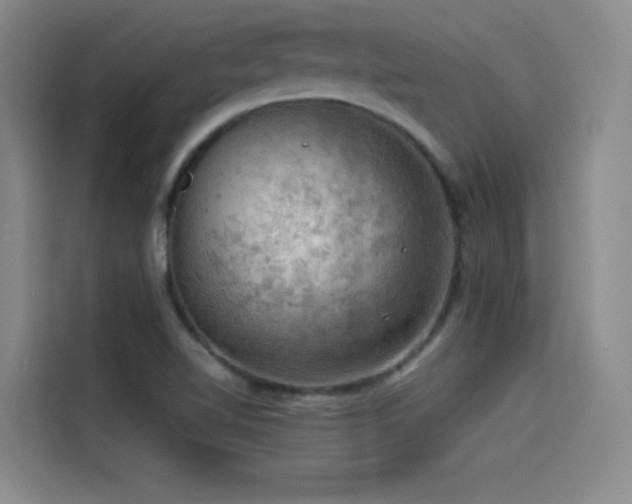 X0000114531510200910191311