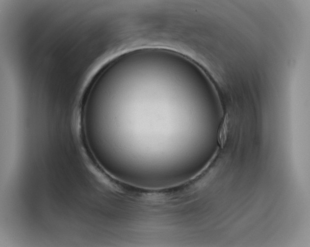 X0000114531511200910191311