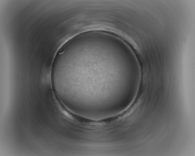 X0000114531513200910191311