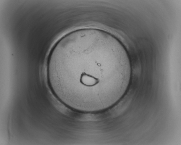 X0000114531514200910191311