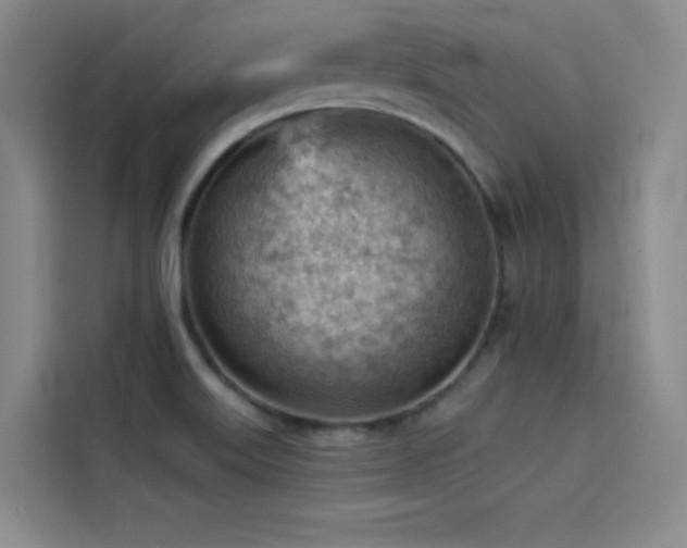X0000114531515200910191311