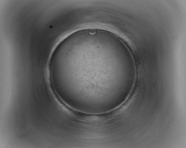 X0000114531517200910191311