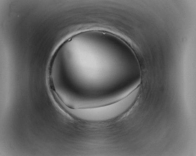 X0000114531518200910191311