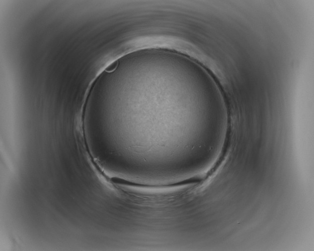X0000114531521200910191311