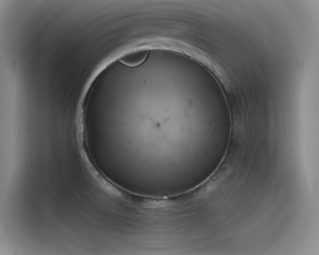 X0000114531522200910191311
