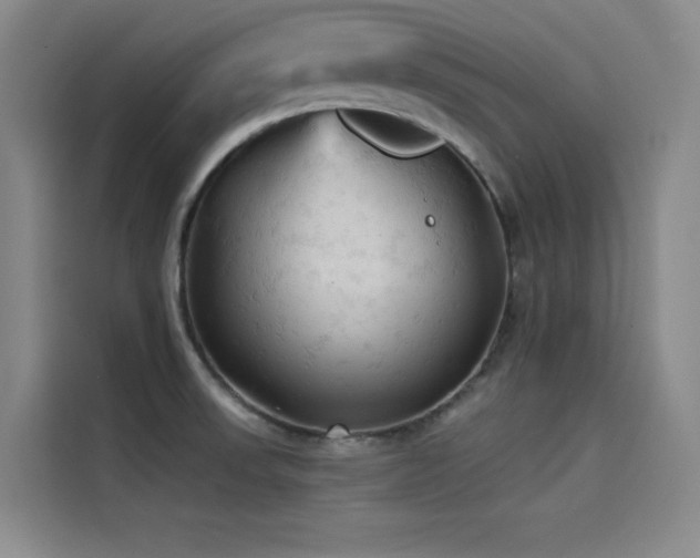 X0000114531523200910191311