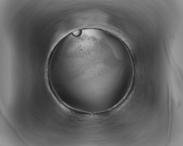 X0000114531525200910191312