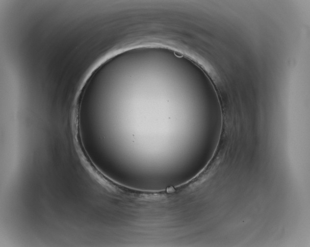 X0000114531526200910191312