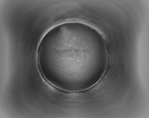 X0000114531527200910191312