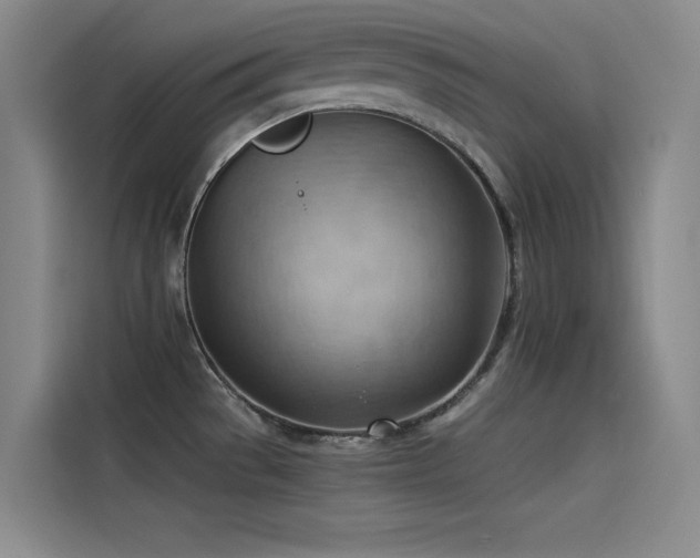 X0000114531529200910191312