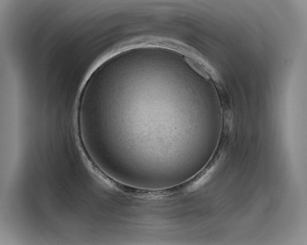 X0000114531530200910191312