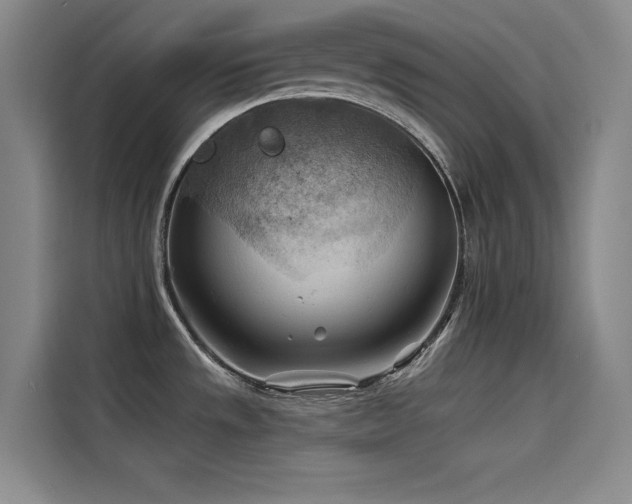 X0000114531533200910191312