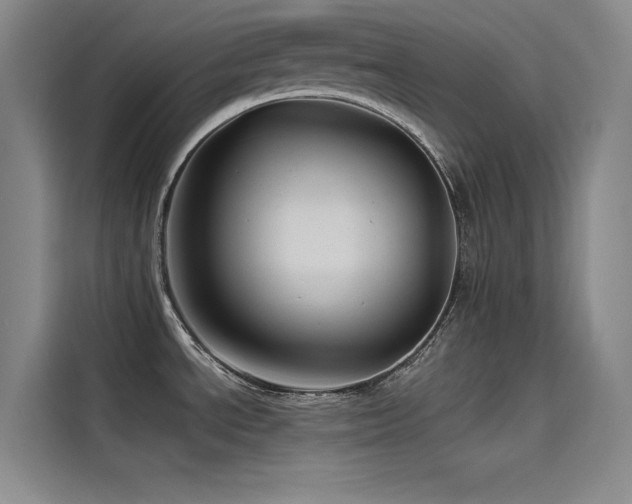 X0000114531534200910191312