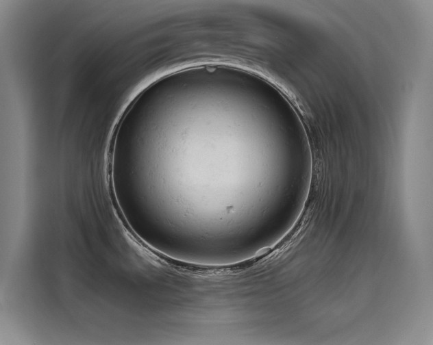 X0000114531535200910191312