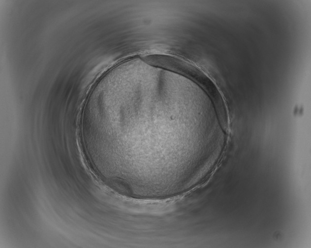 X0000114530001200911091121