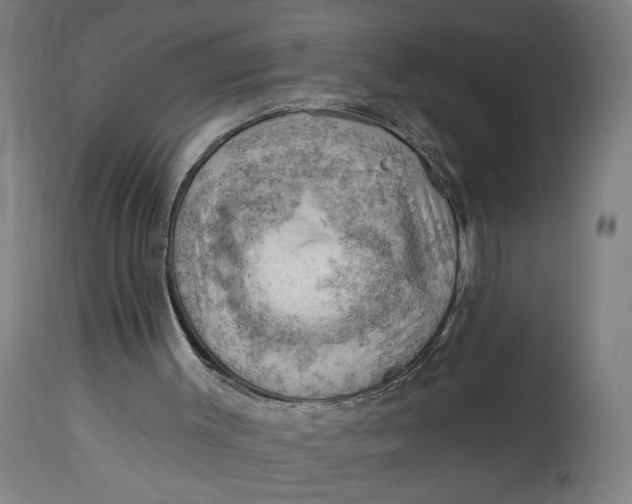 X0000114530003200911091121