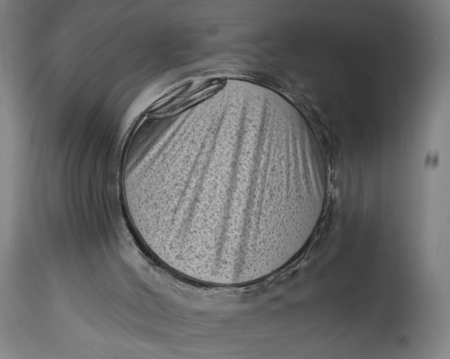 X0000114530004200911091121