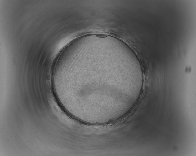 X0000114530005200911091121