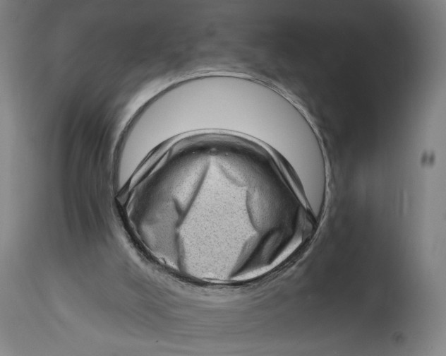 X0000114530008200911091121