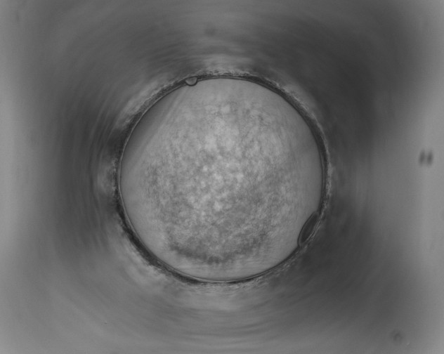 X0000114530009200911091121