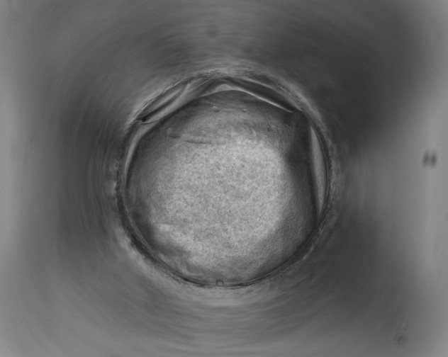 X0000114530010200911091121