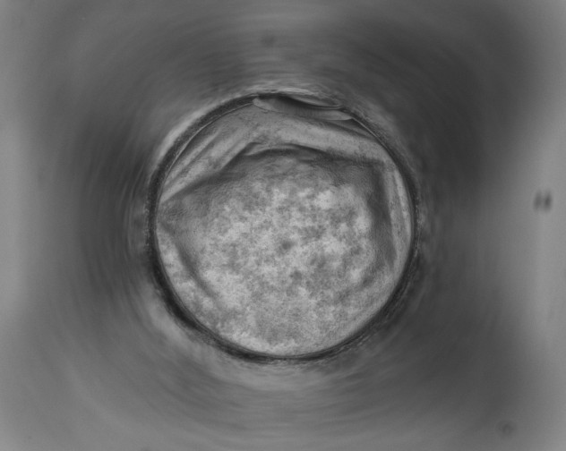 X0000114530012200911091121