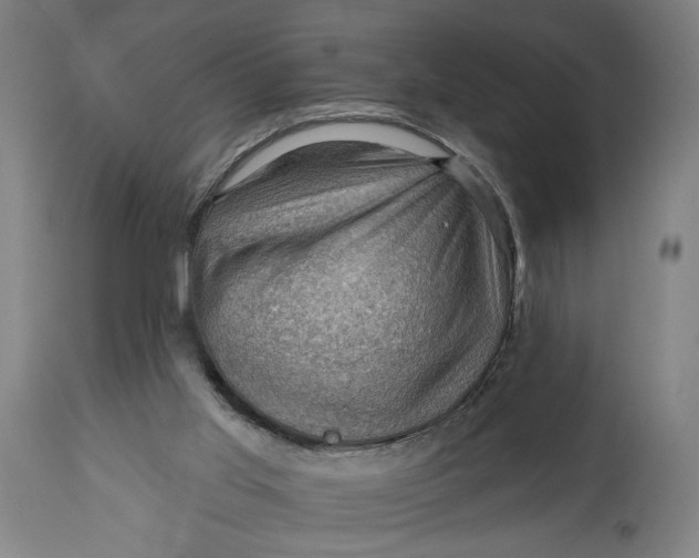 X0000114530013200911091121