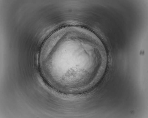 X0000114530014200911091121