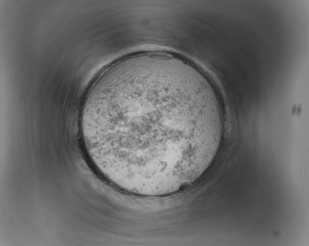 X0000114530015200911091121