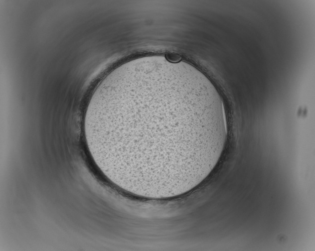 X0000114530016200911091121