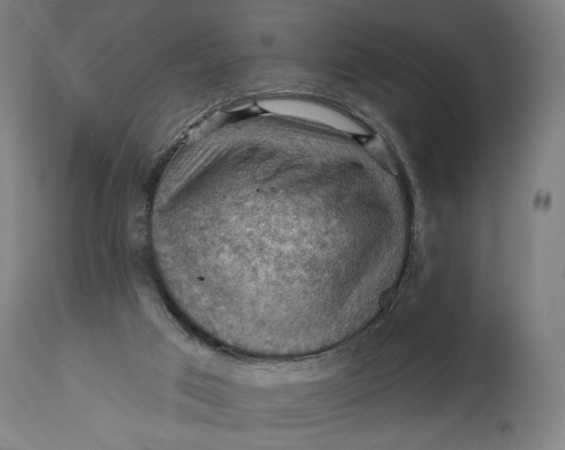 X0000114530017200911091121