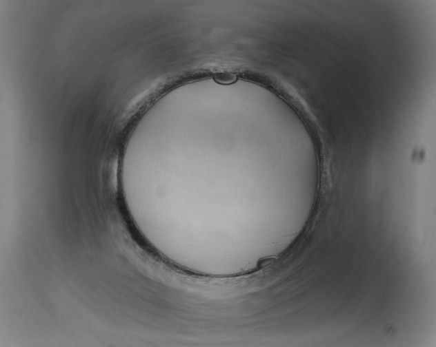 X0000114530019200911091121