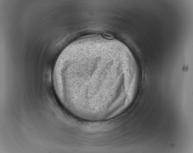 X0000114530021200911091120
