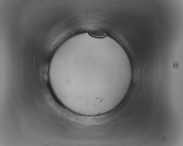 X0000114530023200911091120